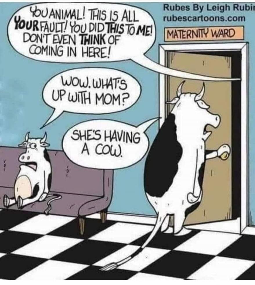 YOU ANIMAL! THIS IS ALL YOUR FAULT! YOU DID THIS TO ME! DON'T EVEN THINK OF COMING IN HERE! WOW. WHAT'S UP WITH MOM? SHE'S HAVING A COW. MATERNITY WARD.