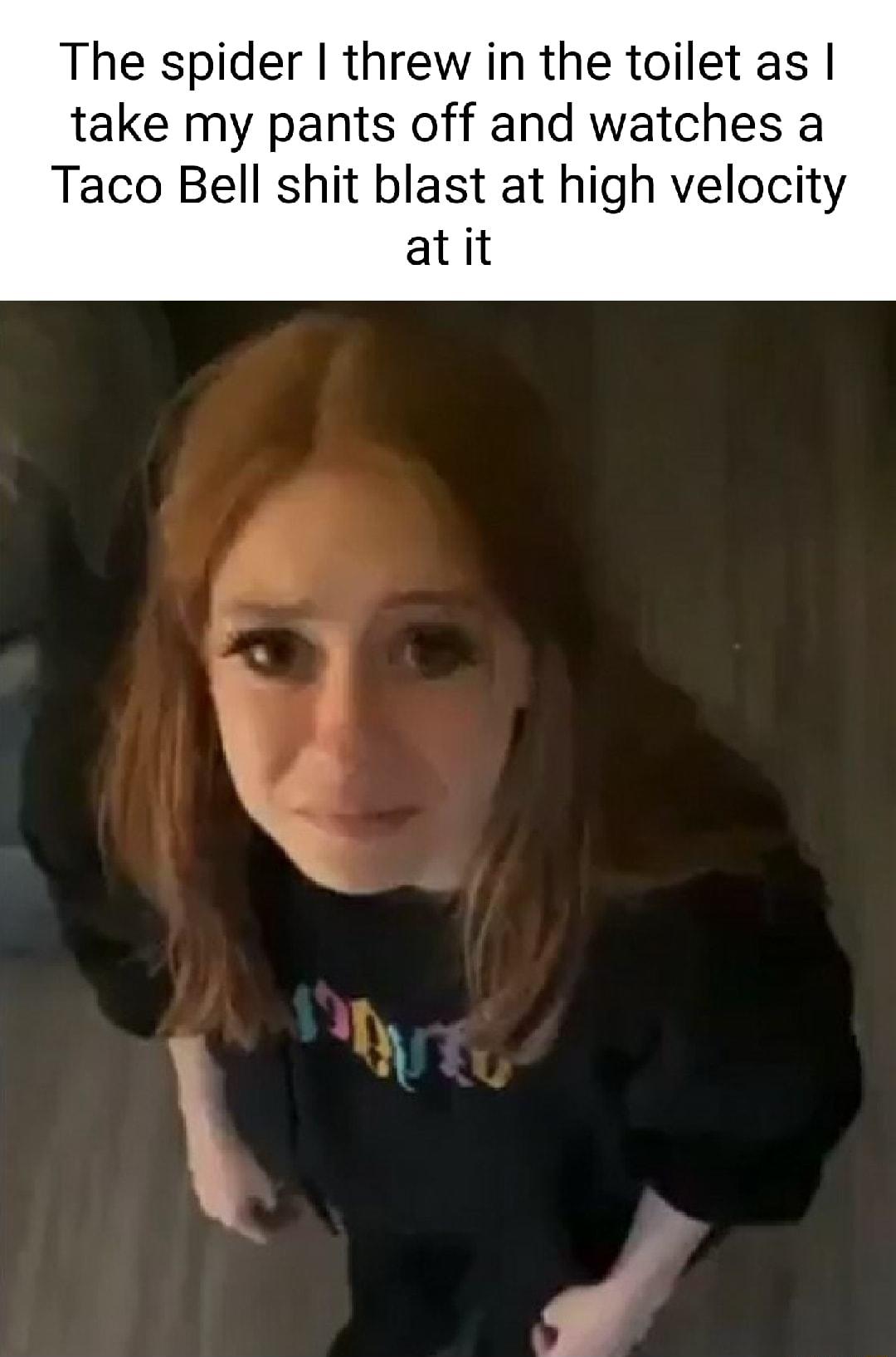 The spider threw in the toilet as take my pants off and watches a Taco Bell shit blast at high velocity atit