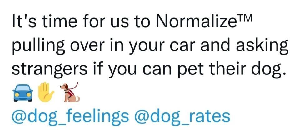 Its time for us to Normalize pulling over in your car and asking strangers if you can pet their dog L dog_feelings dog_rates
