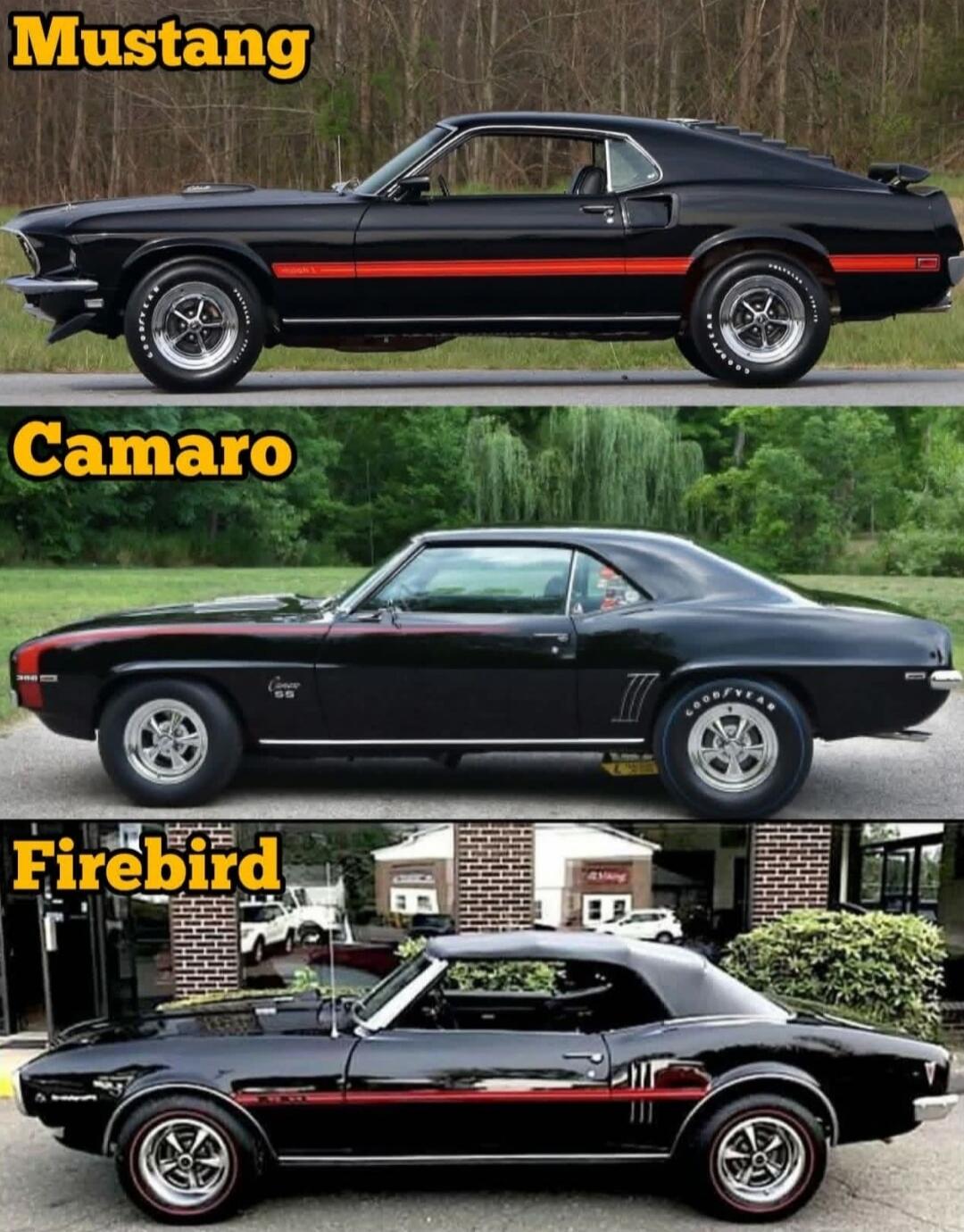 Mustang Camaro Firebird