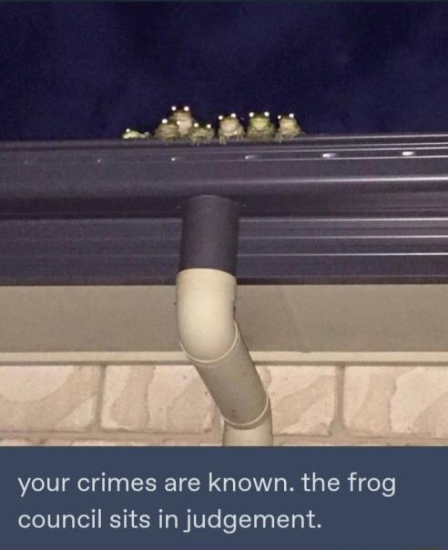 your crimes are known the frog council sits in judgement