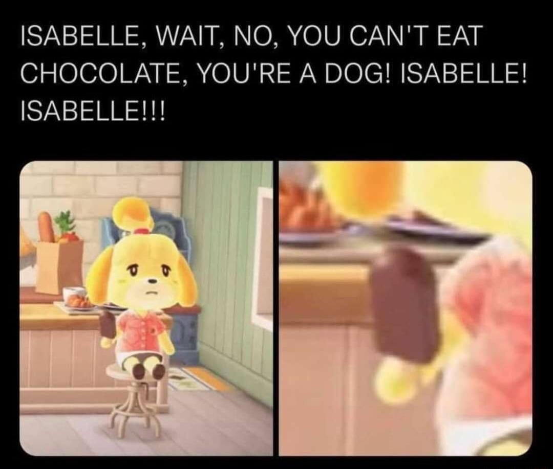 S71 NN R NO el Vo7 i i 7 CHOCOLATE YOURE A DOG ISABELLE ISABELLE