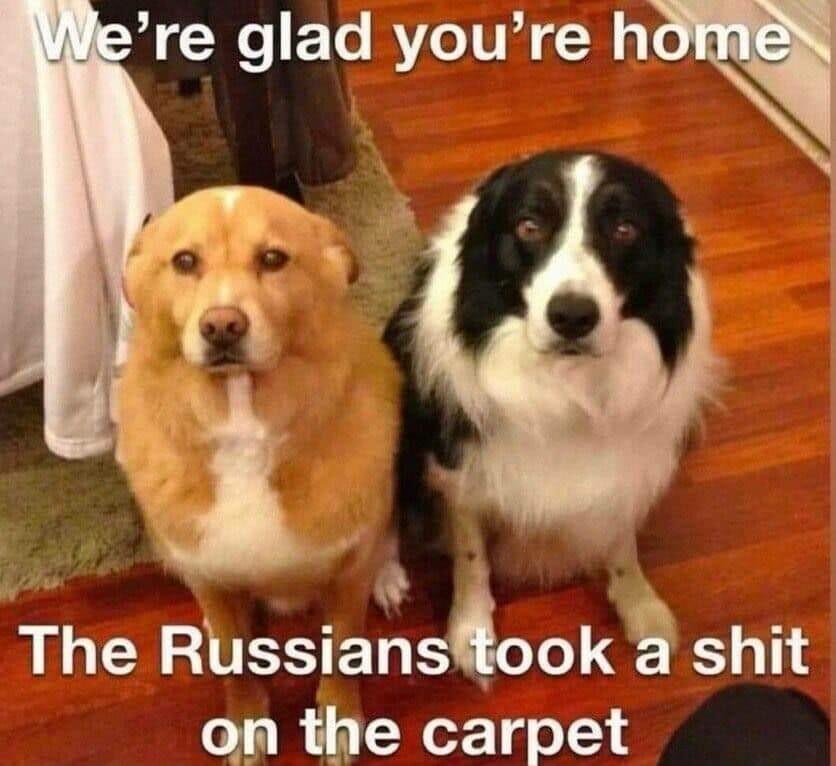 re glad youre h The Rhsswnsook 4 shit on the carpet