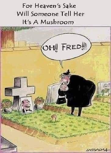 For Heavens Sake Will Somecne Tell Her Its A Mushroom s W on Freoll