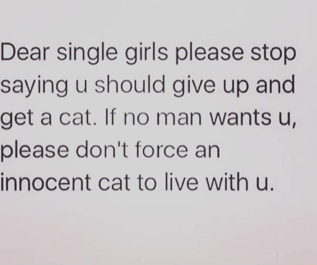 Dear single girls please stop saying u should give up and get a cat If no man wants u please dont force an innocent cat to live with u