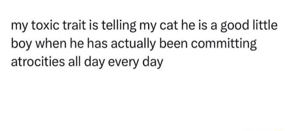 my toxic trait is telling my cat he is a good little boy when he has actually been committing atrocities all day every day