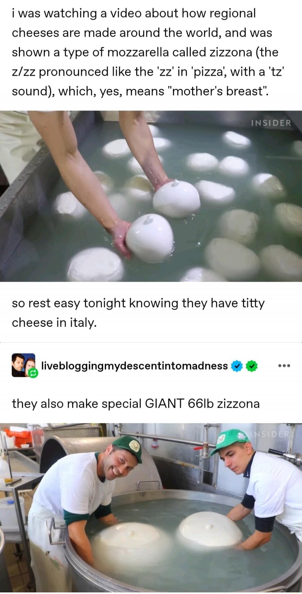 i was watching a video about how regional cheeses are made around the world, and was shown a type of mozzarella called zizzona (the z/zz pronounced like the 'zz' in 'pizza', with a 'tz' sound), which, yes, means 