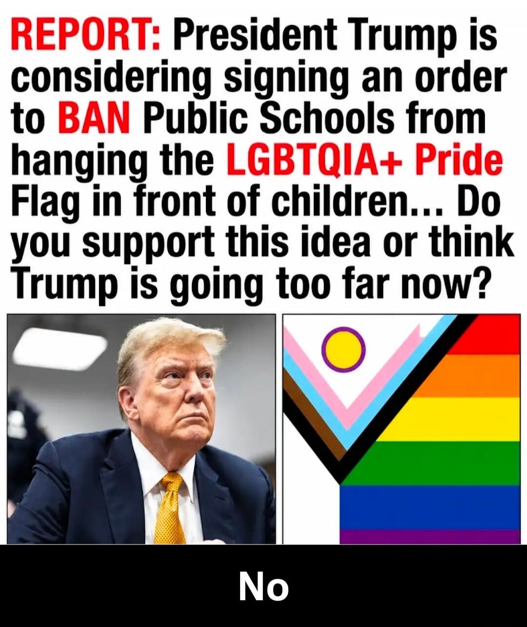 REPORT: President Trump is considering signing an order to BAN Public Schools from hanging the LGBTQIA+ Pride Flag in front of children... Do you support this idea or think Trump is going too far now? No