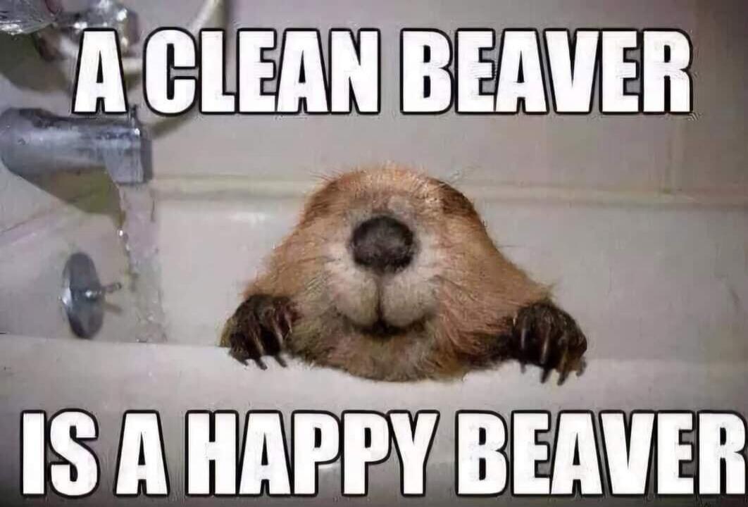 A CLEAN BEAVER IS A HAPPY BEAVER