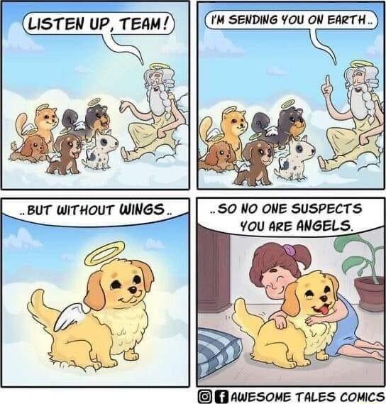 LISTEN UP TEAM 1M SENDING YOU ON EARTH 50 NO ONE SUSPECTS YOU ARE ANGELS AWESOME TALES COMICS