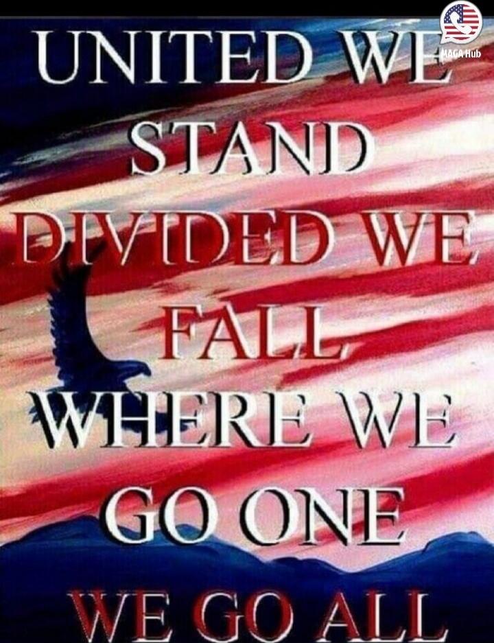 UNITED WE STAND DIVIDED WE FALL WHERE WE GO ONE WE GO ALL
