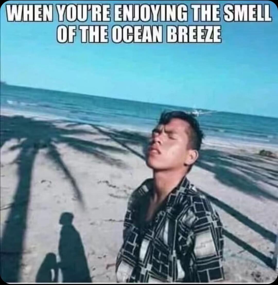 WHEN YOU'RE ENJOYING THE SMELL OF THE OCEAN BREEZE