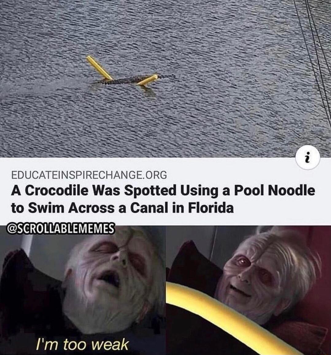 EDUCATEINSPIRECHANGEORG A Crocodile Was Spotted Using a Pool Noodle to Swim Across a Canal in Florida Im too weak