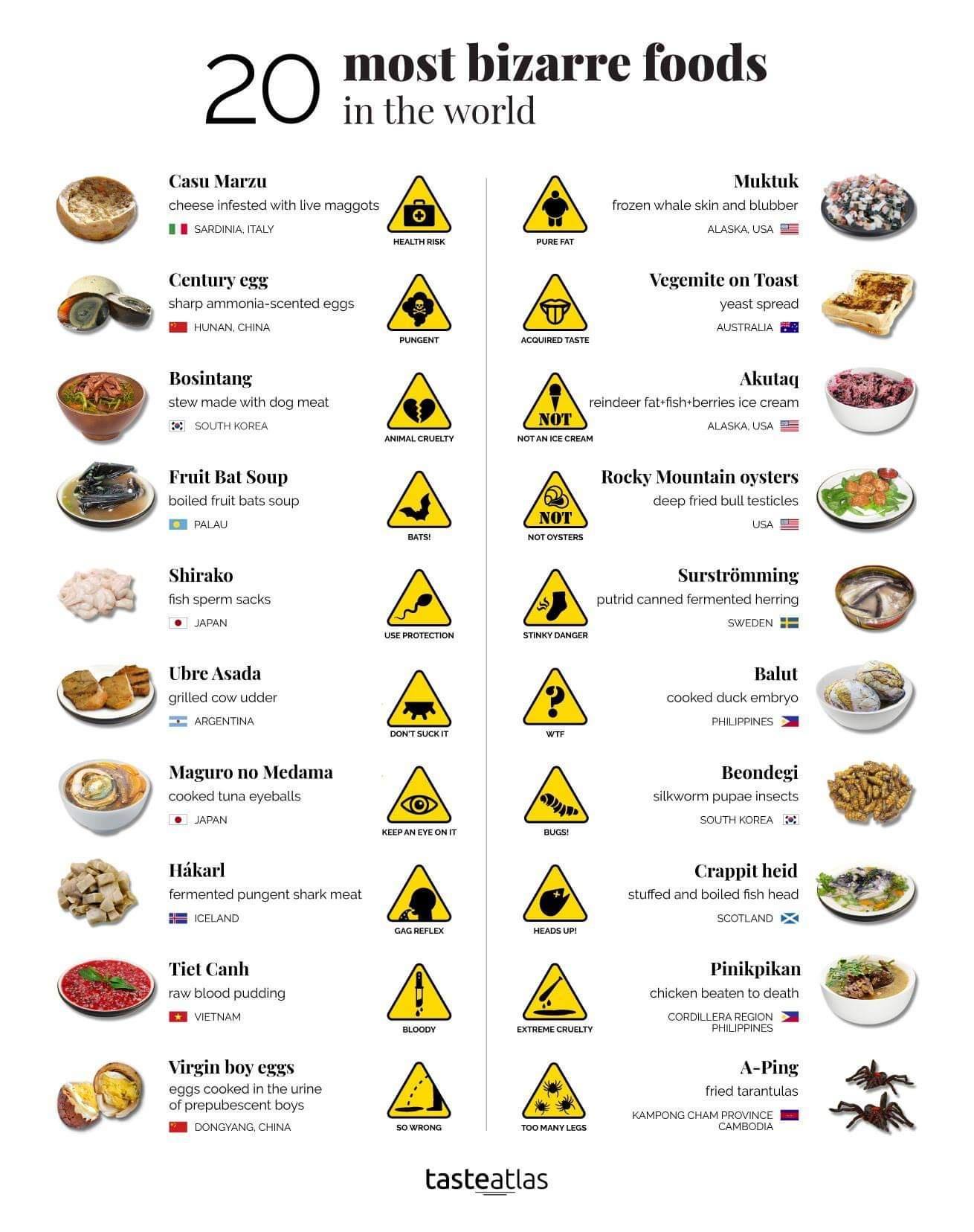 most bizarre foods in the world Casu Marzu cheese infested with live maggots B B SARDINIA ITALY Cenlury egg sharp ammonia scented eggs B HUNAN CHINA Bosintang stew made with dog meat i SOUTH KOREA Fruit Bat Soup boiled fruit bats soup PALAU Shirako fish sperm sacks JAPAN Ubre Asada grilled cow udder ZE ARGENTINA Maguro no Medama cooked tuna eyeballs JAPAN Hakarl fermented pungent shark meat ICELAN