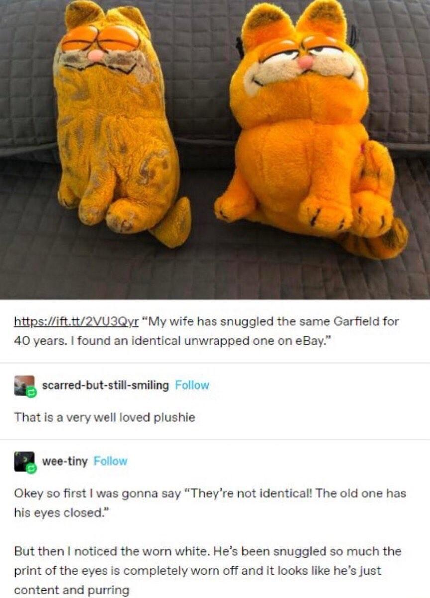 hitpsiftt2VU3Qye My wife has snuggled the same Garfield for 40 years found an identical unwrapped one on eBay B scamed butstiaming ol That s a very well loved plushie B vee tiny Foon Okey sofirst was gonna say Theyre not identicall The old one has his eyes closed But then noticed the worn white Hes been snuggled so much the print of the ey completely worn off and it looks like hes just content and