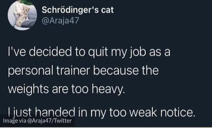 Schrodingers cat Arajad7 Ive decided to quit my job as a personal trainer because the WETe l TR e IR s EEIVIYA just handed in my too weak notice Image via Arajad7Twitter