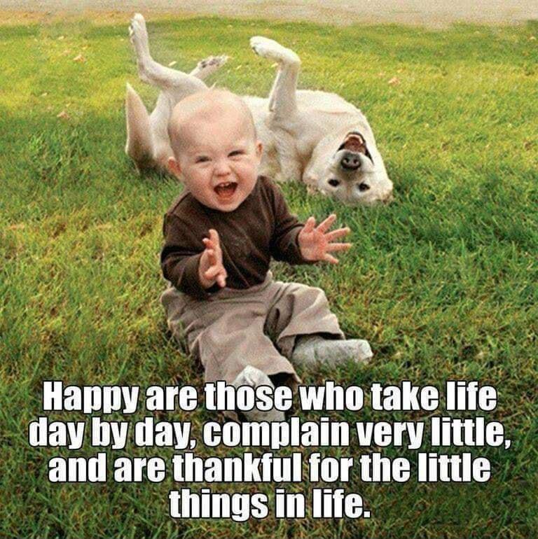 BT comnlaln 14 Illtle i and are thankiful for the little thingsin life