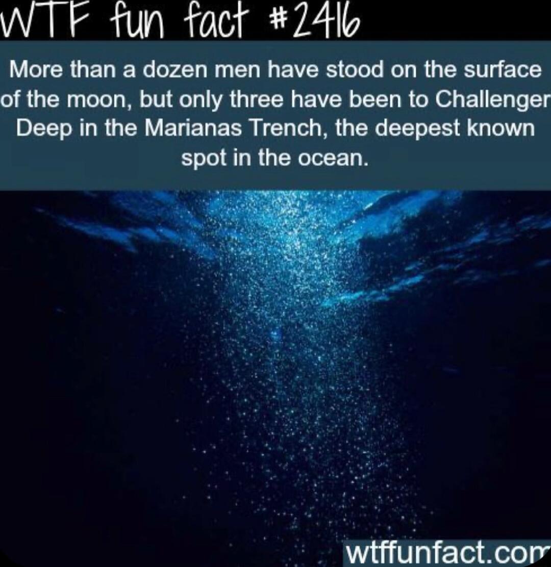 WTF fun facr 24lk More than a dozen men have stood on the surface of the moon but only three have been to Challenger BEETNLRGEN VELEREER TN G R EELES G spot in the ocean wiffunfactcor