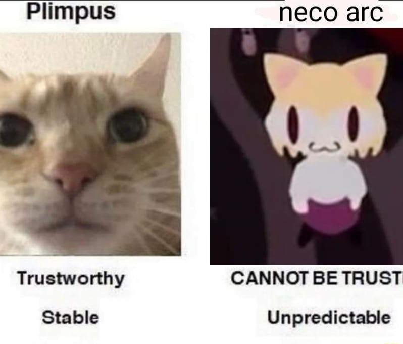 Plimpus neco arc Trustworthy CANNOT BE TRUST Stable Unpredictable
