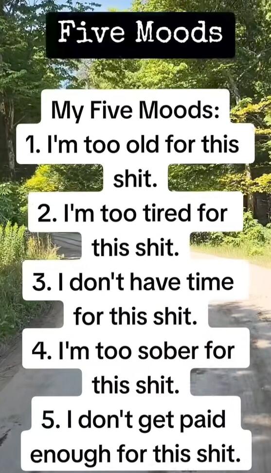 Five Moods
My Five Moods:
1. I'm too old for this shit.
2. I'm too tired for this shit.
3. I don't have time for this shit.
4. I'm too sober for this shit.
5. I don't get paid enough for this shit.