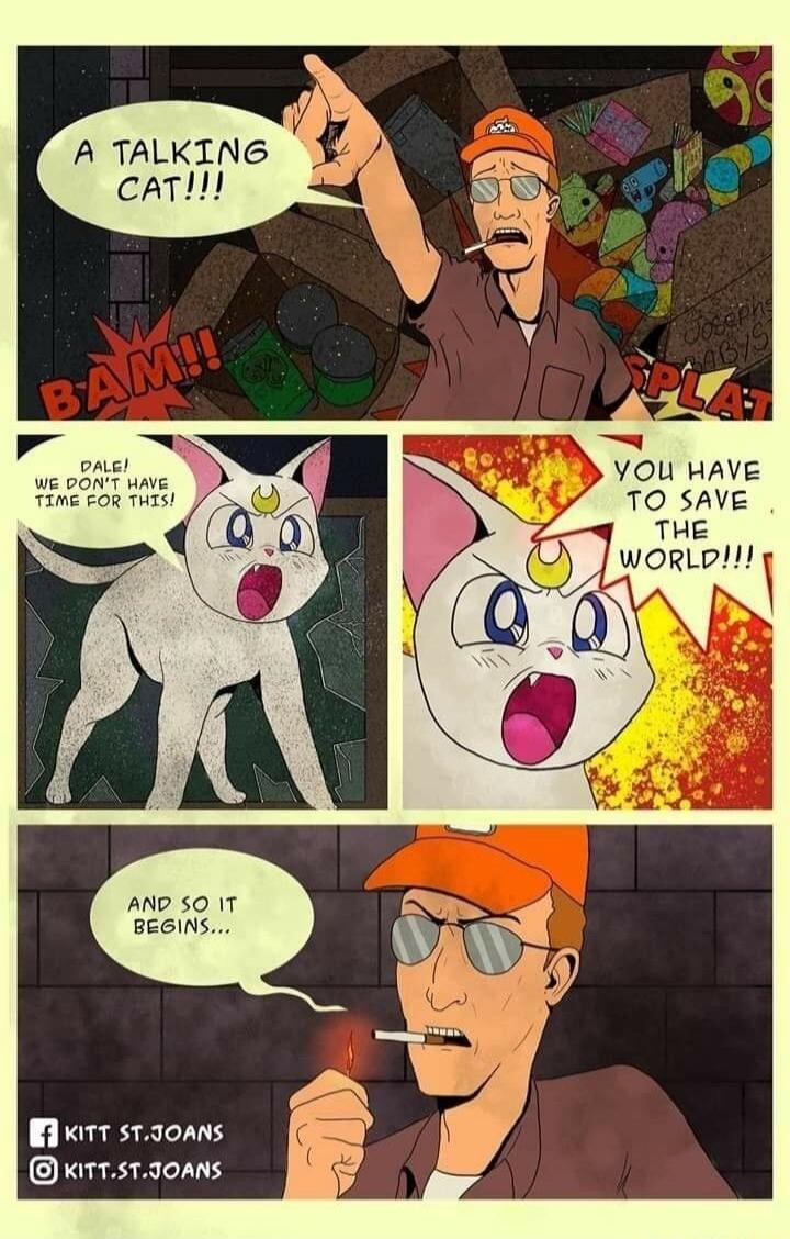 A TALKING caTl YOUu HAVE TO SAVE