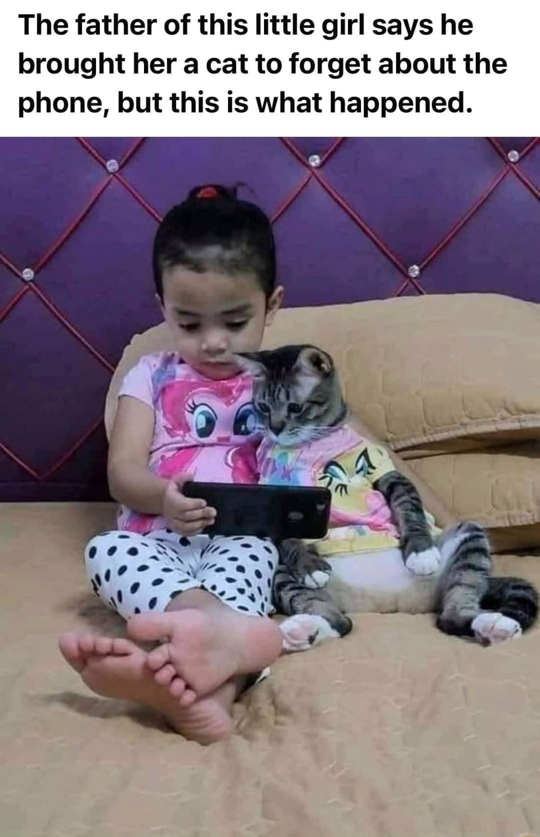 The father of this little girl says he brought her a cat to forget about the phone but this is what happened