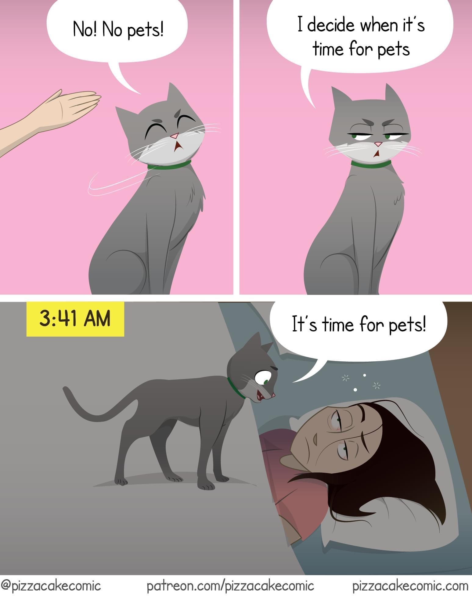 Idecide when its fime for pets a Its time for pets patreoncompizzacak