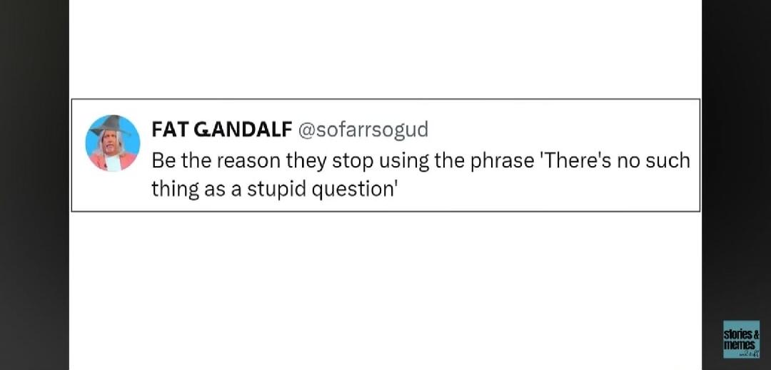 FAT GANDALF @sofarrsogud Be the reason they stop using the phrase 'There's no such thing as a stupid question' stories & memes