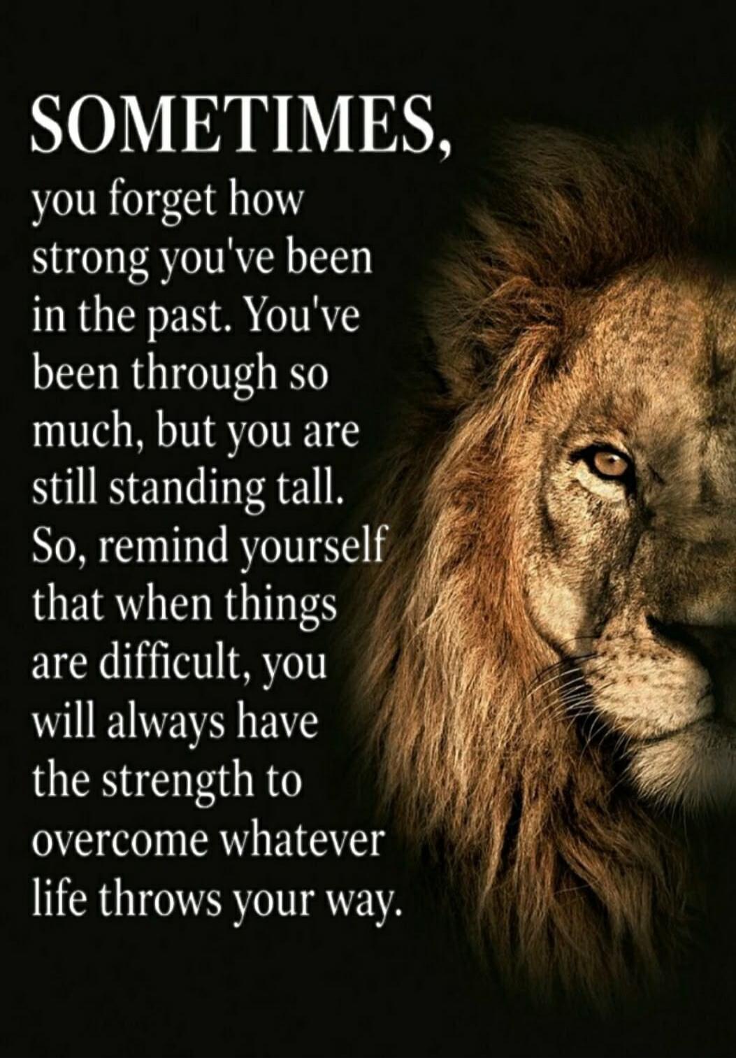 SOMETIMES, you forget how strong you've been in the past. You've been through so much, but you are still standing tall. So, remind yourself that when things are difficult, you will always have the strength to overcome whatever life throws your way.