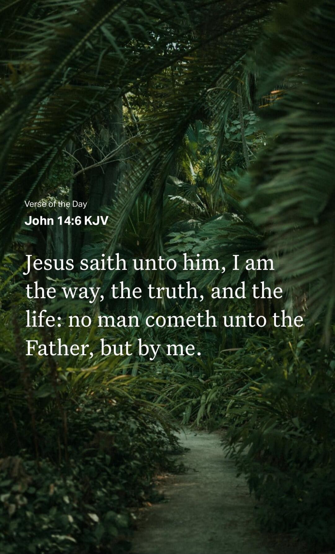 Verse of the Day
John 14:6 KJV
Jesus saith unto him, I am the way, the truth, and the life: no man cometh unto the Father, but by me.