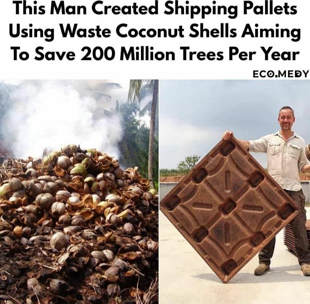 This Man Created Shipping Pallets Using Waste Coconut Shells Aiming To Save 200 Million Trees Per Year ECOMEDY
