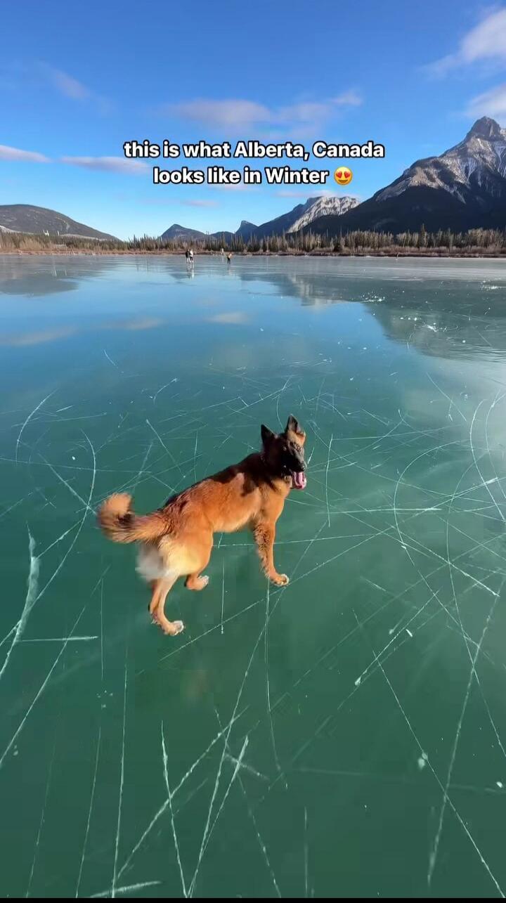 this is what Alberta, Canada looks like in Winter 😍