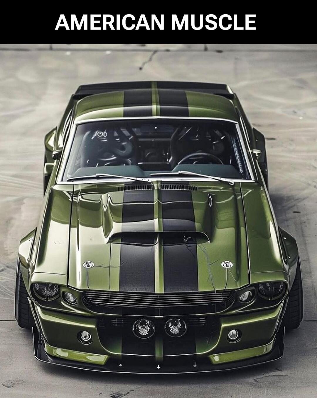 AMERICAN MUSCLE