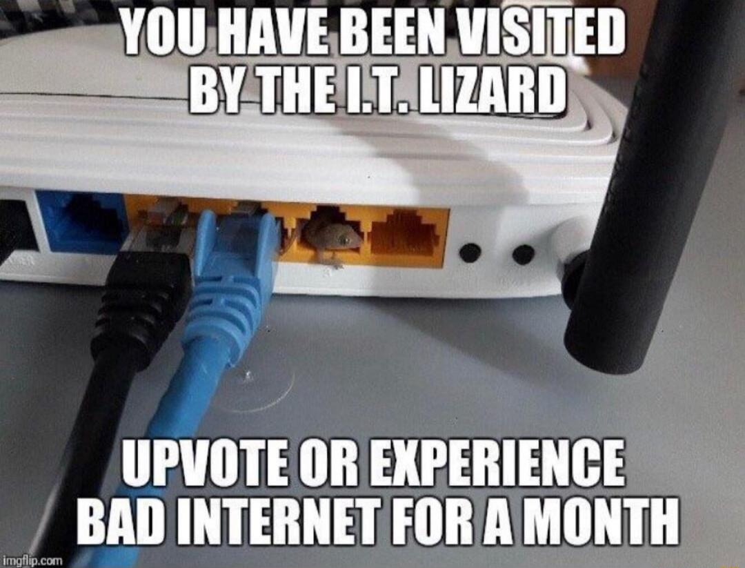 YOU HAVE BEEN VISITED BY THE I.T. LIZARD UPVOTE OR EXPERIENCE BAD INTERNET FOR A MONTH