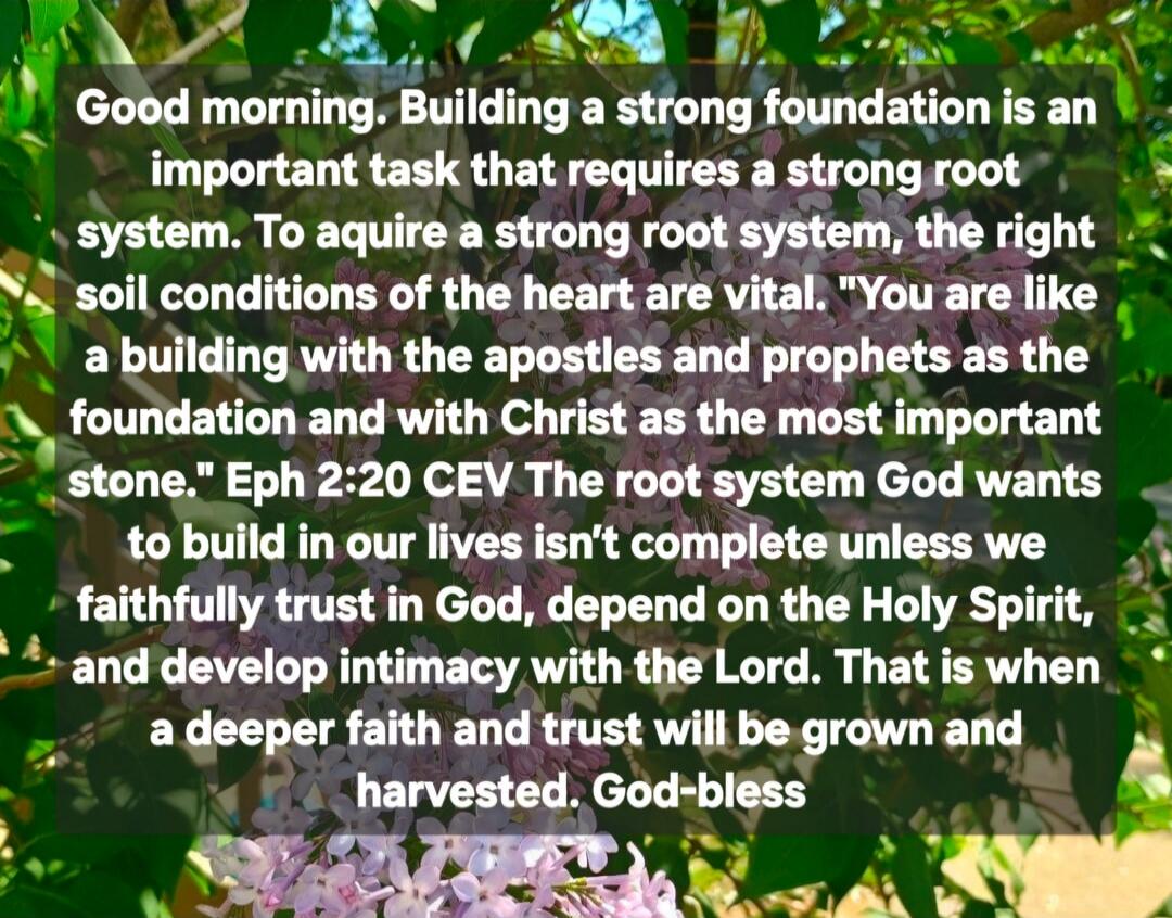 Good morning. Building a strong foundation is an important task that requires a strong root system. To acquire a strong root system, the right soil conditions of the heart are vital. 