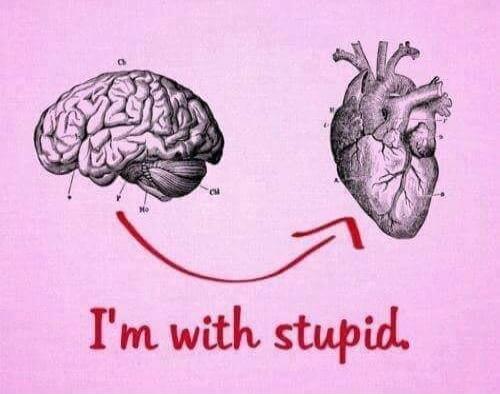 I'm with stupid.