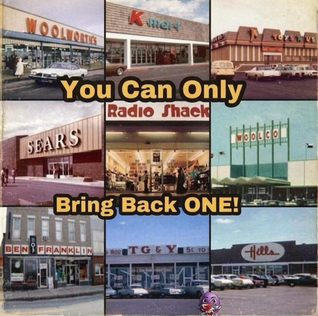 WOOLWORTH'S K-mart TOYS R US SEARS Radio Shack WOOLCO BEN FRANKLIN TG&Y Hills You Can Only Bring Back ONE!