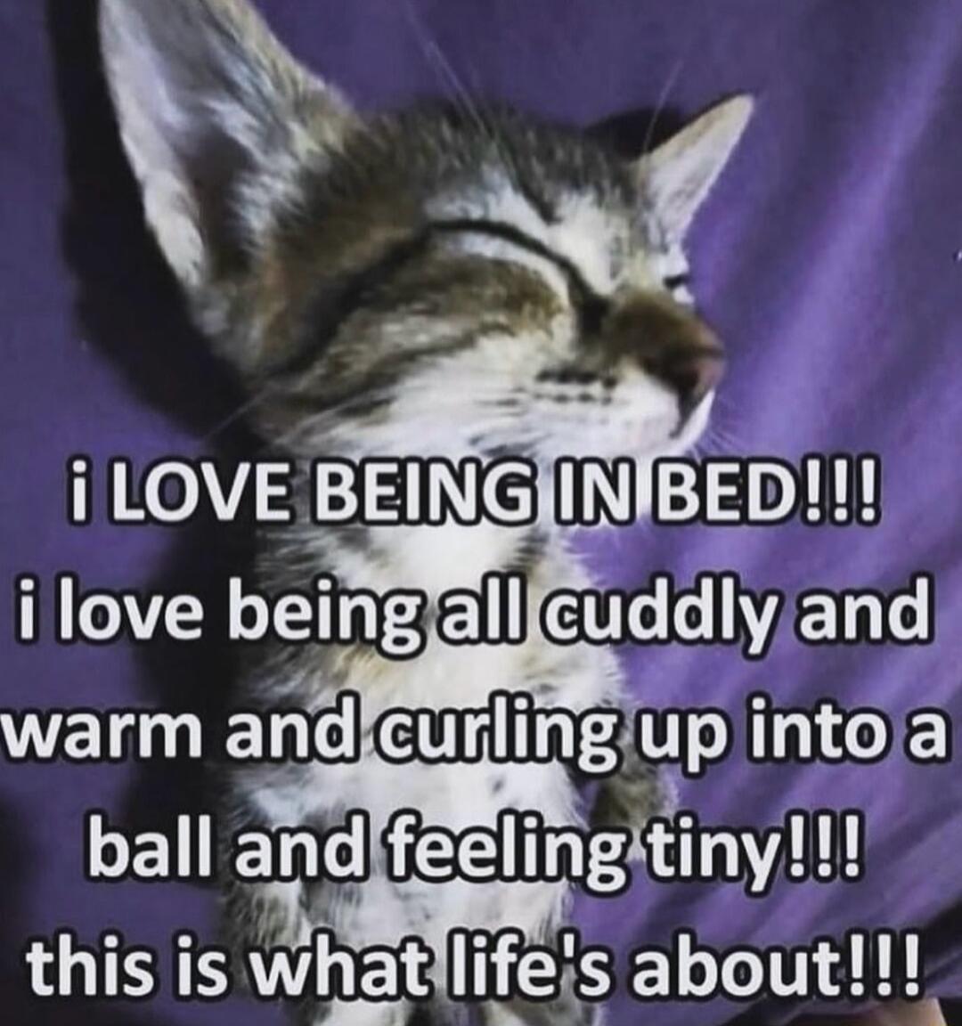 oV 1 1Xe Y 21 S ol i love being elll QLo s 2ET Lo ETiy and curllngup E LEETC feellngltlny LTS wl_a_t lifeis about