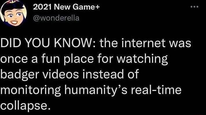 2021 New Game wonderella DIDAOIVE NOV R GERT TG AN once a fun place for watching badger videos instead of monitoring humanitys real time leEToETN