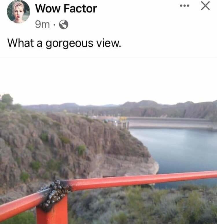 B Wow Factor T am Q What a gorgeous view