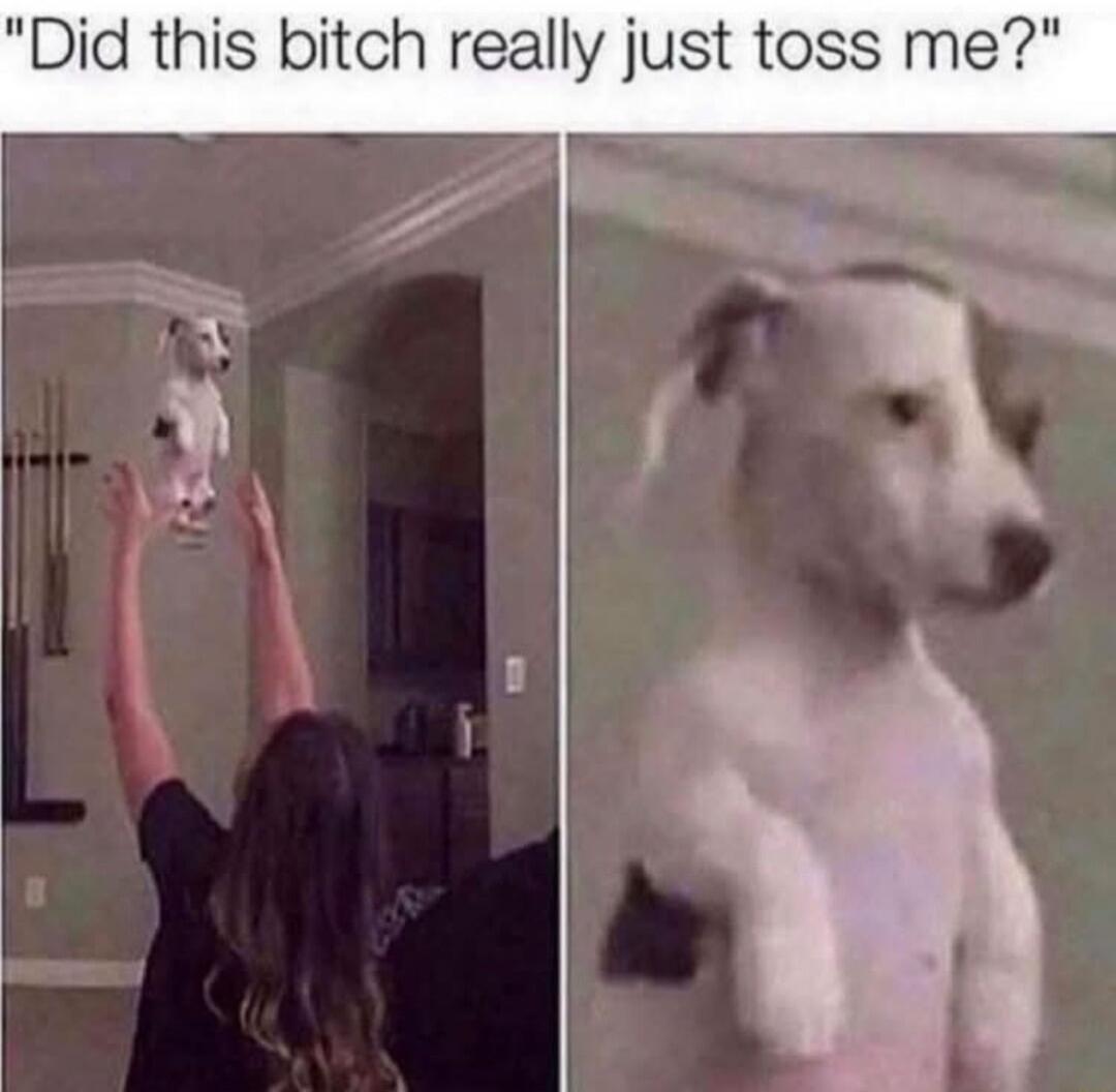 Did this bitch really just toss me