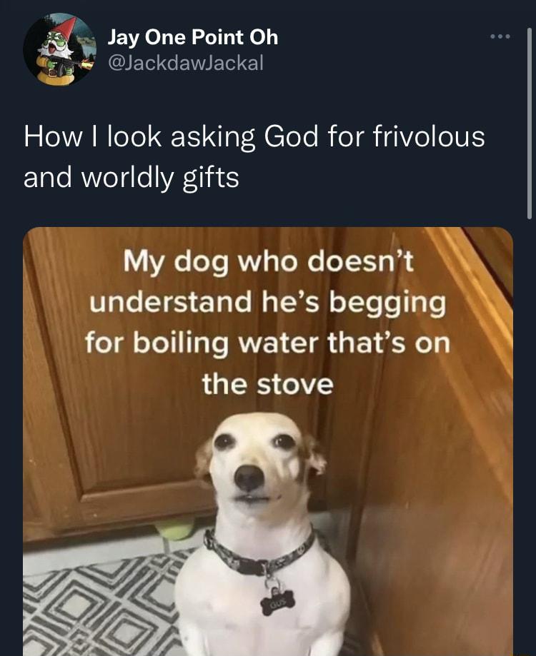 b Feo g0 i BEVAOL Y LTl de 6 b IET G EVIET l How look asking God for frivolous and worldly gifts My dog who doesnt U e T S E1ale Mo TW oTYe e o for boiling water thats on the stove