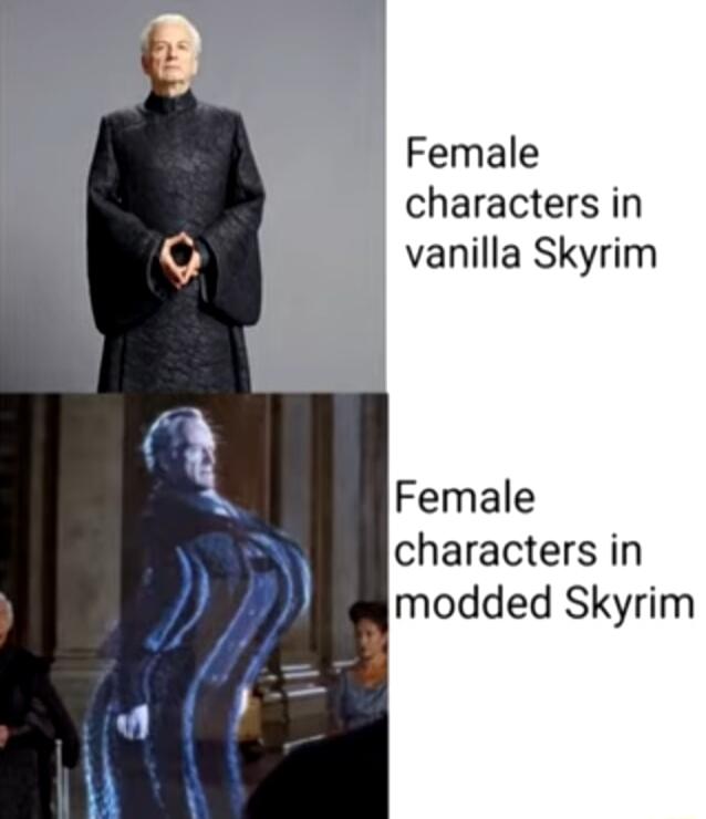 Female characters in vanilla Skyrim Female characters in modded Skyrim