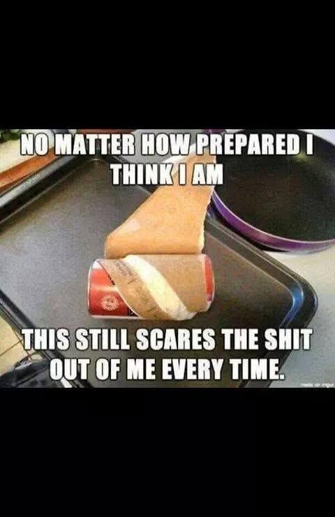 NO MATTER HOW PREPARED I THINK I AM THIS STILL SCARES THE SHIT OUT OF ME EVERY TIME.