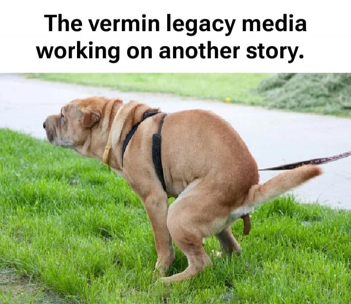 The vermin legacy media working on another story.