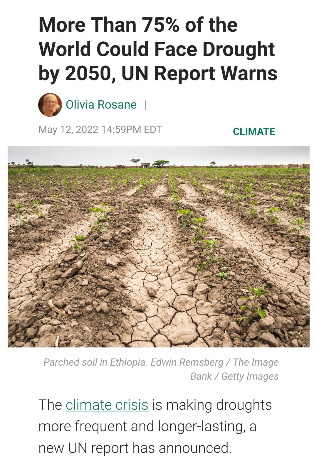 More Than 75 of the World Could Face Drought by 2050 UN Report Warns Olivia Rosane May 12 2022 1459PM EDT CLIMATE Parched soil in Ethiopia Edwin Remsberg The Image Bank Getty Images The climate crisis is making droughts more frequent and longer lasting a new UN report has announced