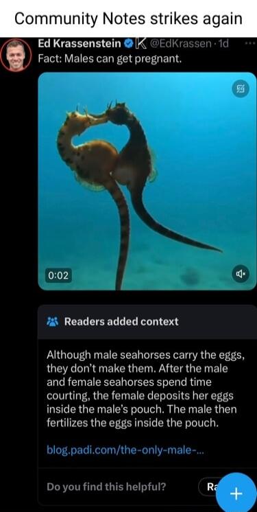 Community Notes strikes again o Ed Krassenstein I Fact Males can get pregnant 002 L Readers added context Although male seahorses carry the eggs they dont make them After the male and female seahorses spend time courting the female deposits her eggs inside the males pouch The male then fertilizes the eggs inside the pouch Do you this he 4 R3 Y