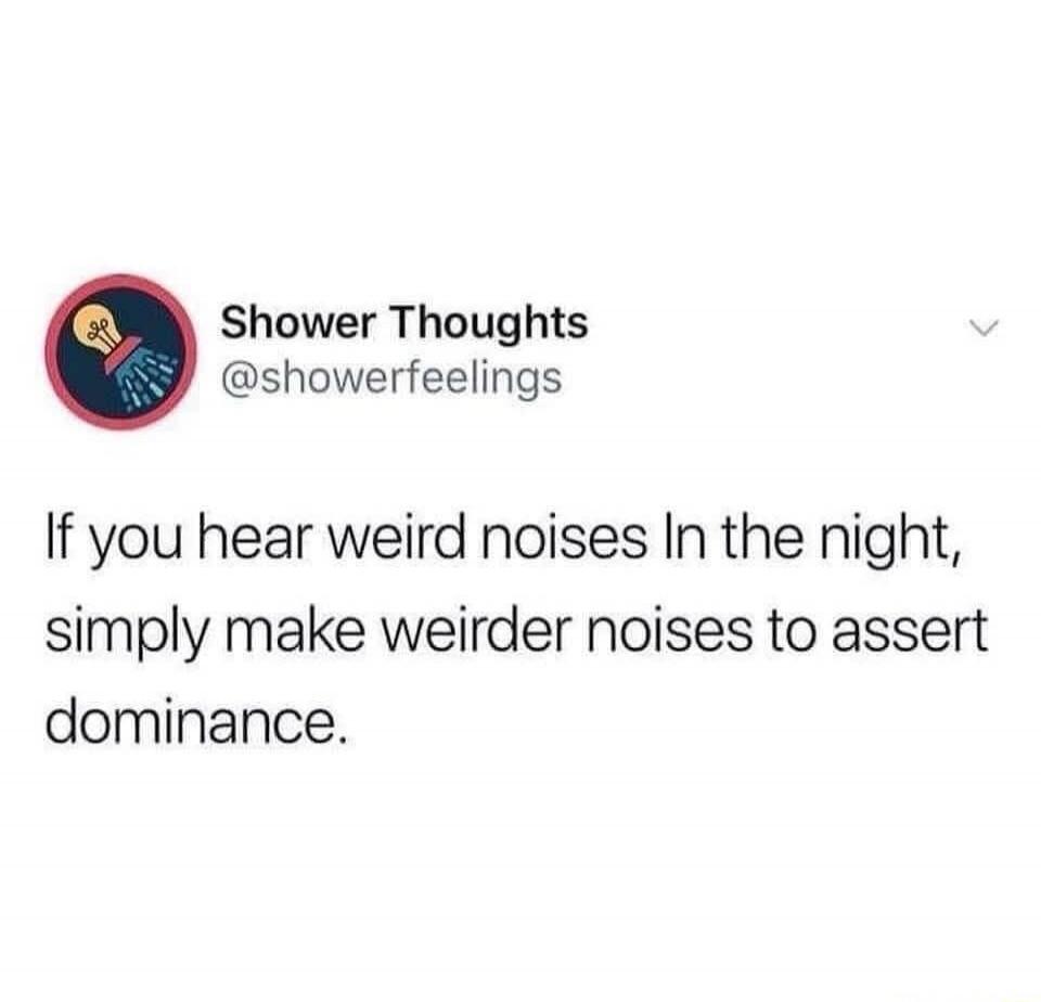 Shower Thoughts @showerfeelings If you hear weird noises in the night, simply make weirder noises to assert dominance.