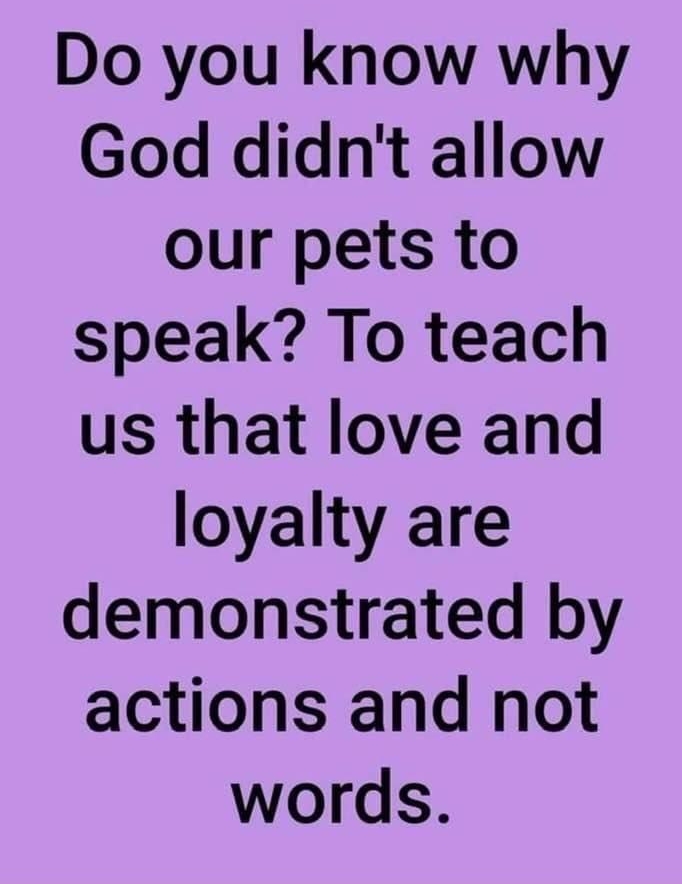 Do you know why God didnt allow our pets to speak To teach us that love and loyalty are demonstrated by actions and not words