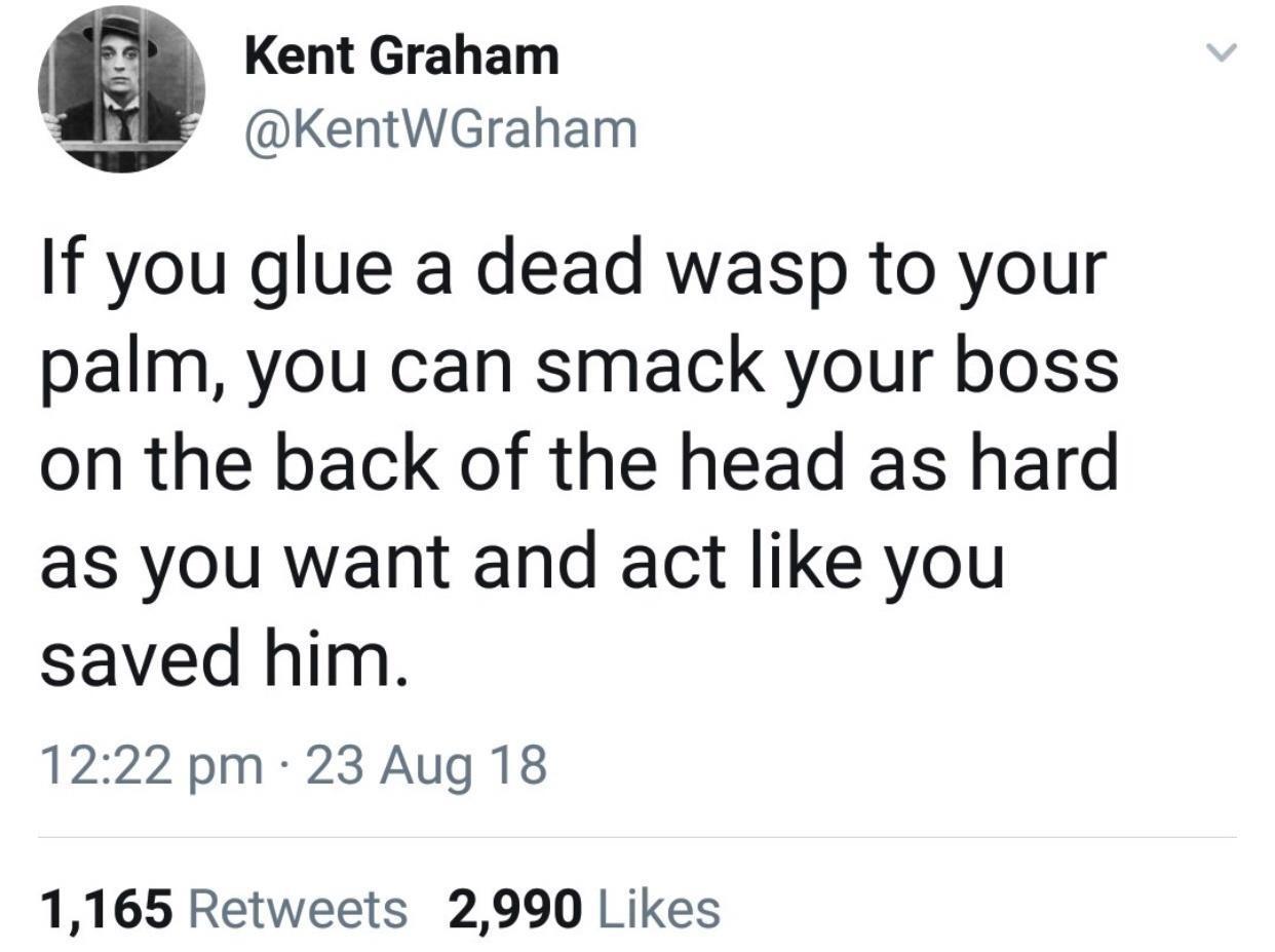 P Kent Graham KentWGraham If you glue a dead wasp to your palm you can smack your boss on the back of the head as hard as you want and act like you saved him 1222 pm 23 Aug 18 1165 Retweets 2990 Likes